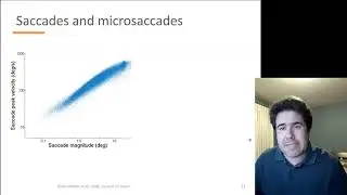 Microsaccades | Jorge Otero-Millan