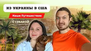 Наш Перелет в США с Собакой. История одного переезда по UFU