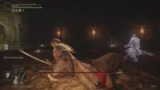 Kaiden Sellsword is a BULLY! Elden Ring