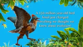 The Jurassic Bird That Shouldn&rsquo;t Exist! #AncientBird #DinosaurEvolution #FossilDiscovery
