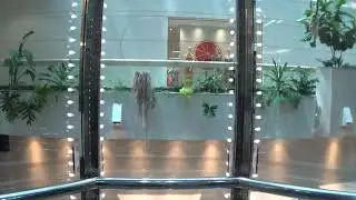 Westinghouse Traction Glass Elevators @ Shops at Canal Place in New Orleans, LA