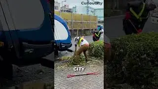 The Culture of Cleanliness in Japan