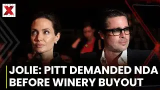Jolie Alleges Pitt Demanded NDA Over Abuse Claims Before Winery Deal | NewsX World