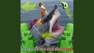 SHARKS ARE THE OCEANS DOGS