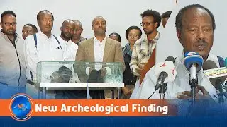 New Homo Erectus Fossil Discovered in Ethiopia&rsquo;s Afar Region:Archeologists