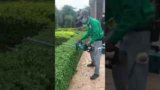 Makita DUH602 Cordless Hedge Trimmer