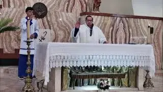 Santa Misa del  Domingo 11 de Enero de 2026