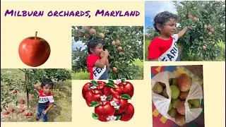 Heyansh || Apple picking at milburn orchards, ||Elkton MD