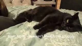 Trudi's transformation story🖤