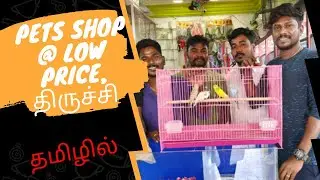 Pet shop in tamil,Puppy, birds, hamster, fish||Sathya pets,low price, In tamil, couple,Trichy.