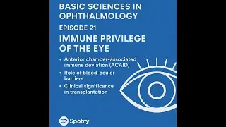 Episode 21   The Eyes Immune Privilege