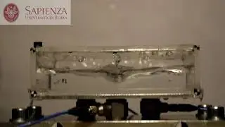Faraday waves experimentally exhibited via vertical harmonic motion