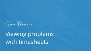 Viewing Problems with Timesheets: Get Clarity in Seconds with PARiM