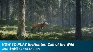 How to Play theHunter Call of the Wild with Tobii Eye Tracking