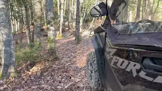 Lunch Bobcat story