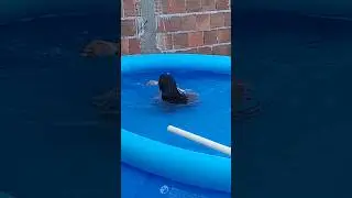 PISCINA INFL&Aacute;VEL BRINK+ #piscinainflavel