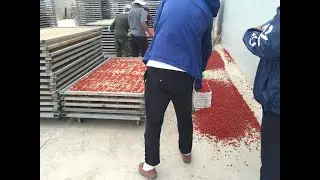 Hello River Brand Goji Berry Fruit Dryer Blueberry Heat Pump Dryer For Crane Berry Dryer Chamber