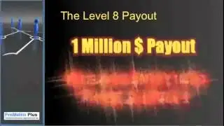 ProMatrix Plus Compensation Plan & Spillover $25 to $1 Million 2x2 MATRIX