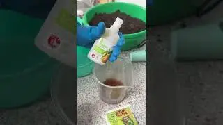 Раствор для старых и не всхожих семян, сухих черенков и других растений требующих &laquo;реанимации&raquo;✅