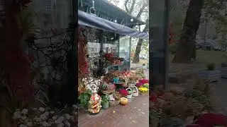 Cozy courtyard respect #shorts  #shortvideo