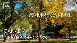 ASMR Walk 🎧 Relaxing Walk in a Canadian Neighborhood | Fall Foliage | British Columbia