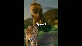 Lion VS Jaguar edit🔥 (Upgrade)#shorts #trending #viral #lion#jaguars