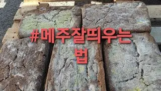 #메주#메주판매#메주띄우기#메주잘띄우는법#된장#01028625806