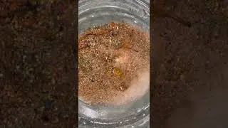 استخراج قشور الذهب الجزء الثالث