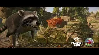 Realistic small cute Raccoon Habitat 🦝| Sunndalsfjorden Zoo | Planet Zoo | part 13