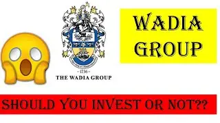 Wadia Group Debt at it's peak