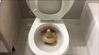 Will it Flush? - Coca Cola and Mentos