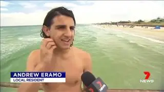 Chelsea beach brawl