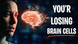 Is Your Brain Shrinking? Do These 5 Things Now to Protect Your Memory
