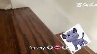 White tiger cub fall down the stairs 