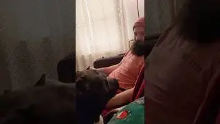 Dog &ldquo;Talks&rdquo; to Dad&mdash;Wait Until You Hear What He Says! 😂🐶