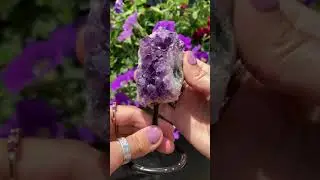 Amethyst Druze on Stand