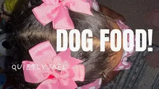 Lets talk about DOG FOOD!