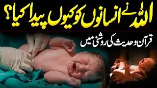 Allah Ne Insan Ko Kyu Paida Kiya | Insan Ki Takhleeq Ka Maqsad | Dunya Me Anay Ka Maqsad | Alfalah