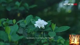 Unbreakable Health: Mental Resilience & Overcoming Sickness
