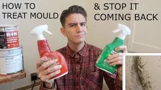 GET RID OF MOULD ON WALLS - AND STOP IT COMING BACK!