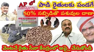 50% సబ్సిడితొ పాడి రైతులకు పశువుల దాణా || Subcidy on Cattle Feed In Andhra Pradesh