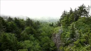 Mile High Bridge