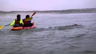 Sven's 10k swim 1