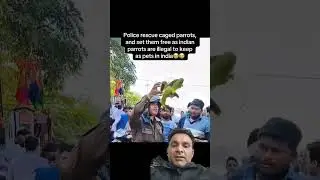 Police rescue caged parrots#fyp#viral#animals#india#birds#parrot#fypシ #sad#cute#ytshorts