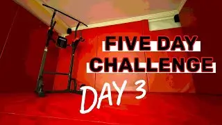 Day#3:  navy seal / pullup challenge - calisthenics push!!!! 