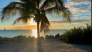 Islamic Background Video - ব্যাকগ্রাউন্ড ভিডিও @ Free use - NO COPYRIGHT # 39