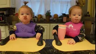 Twins try cereal bar
