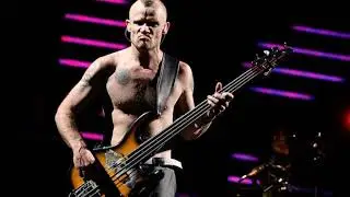 Red Hot Chili Peppers - Dani California (Bass backing track)