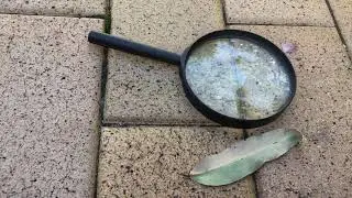 Burning leaves with magnifying glass