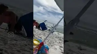 Seagulls Attack Grandma PRANK 🌊 | #prank #grandama #beach #seagulls